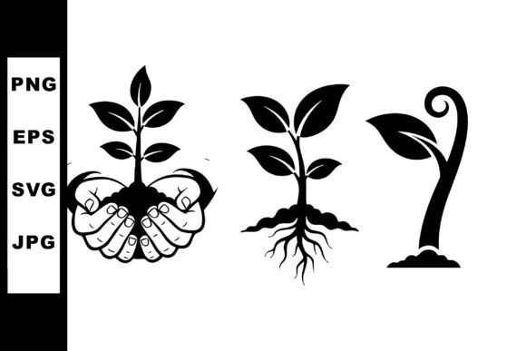 Download Plant Growth Stages Vector Art - Growth Collection