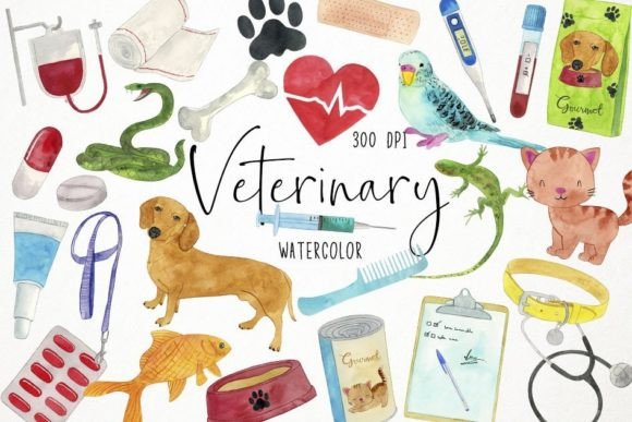 Download Watercolor Veterinary Clipart, Vet - Veterinary Collection