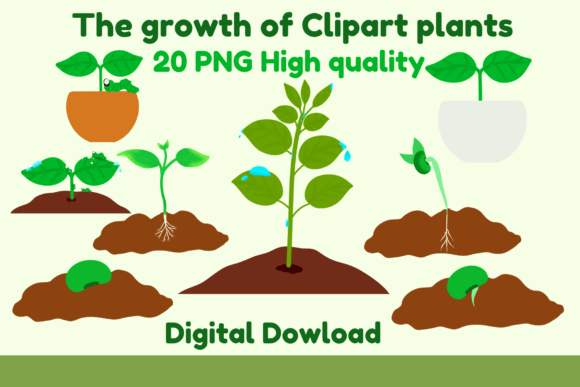 Download The Growth of Clipart Plants - Growth Collection